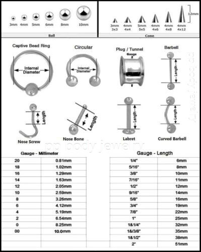 PAIR Surgical Steel Internally Threaded Horseshoe Circular Barbell Ear & Septum