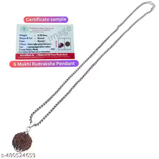 RUDRAKSHA PENDANT NECKLACE 6 Mukhi Nepali Rudraksha Six Face Rudraksh Pendant