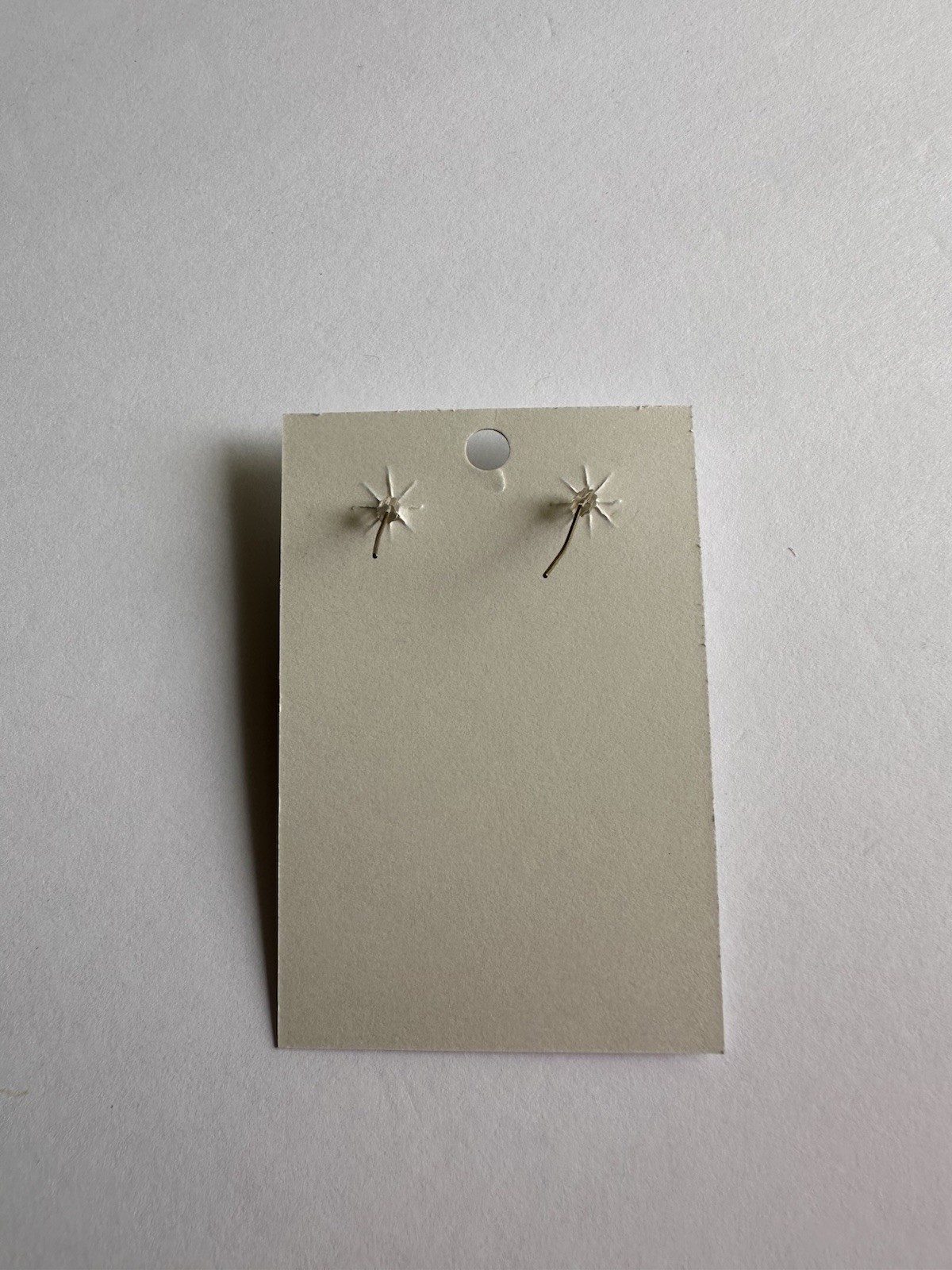 Nickel Charm Earrings Silver Tone