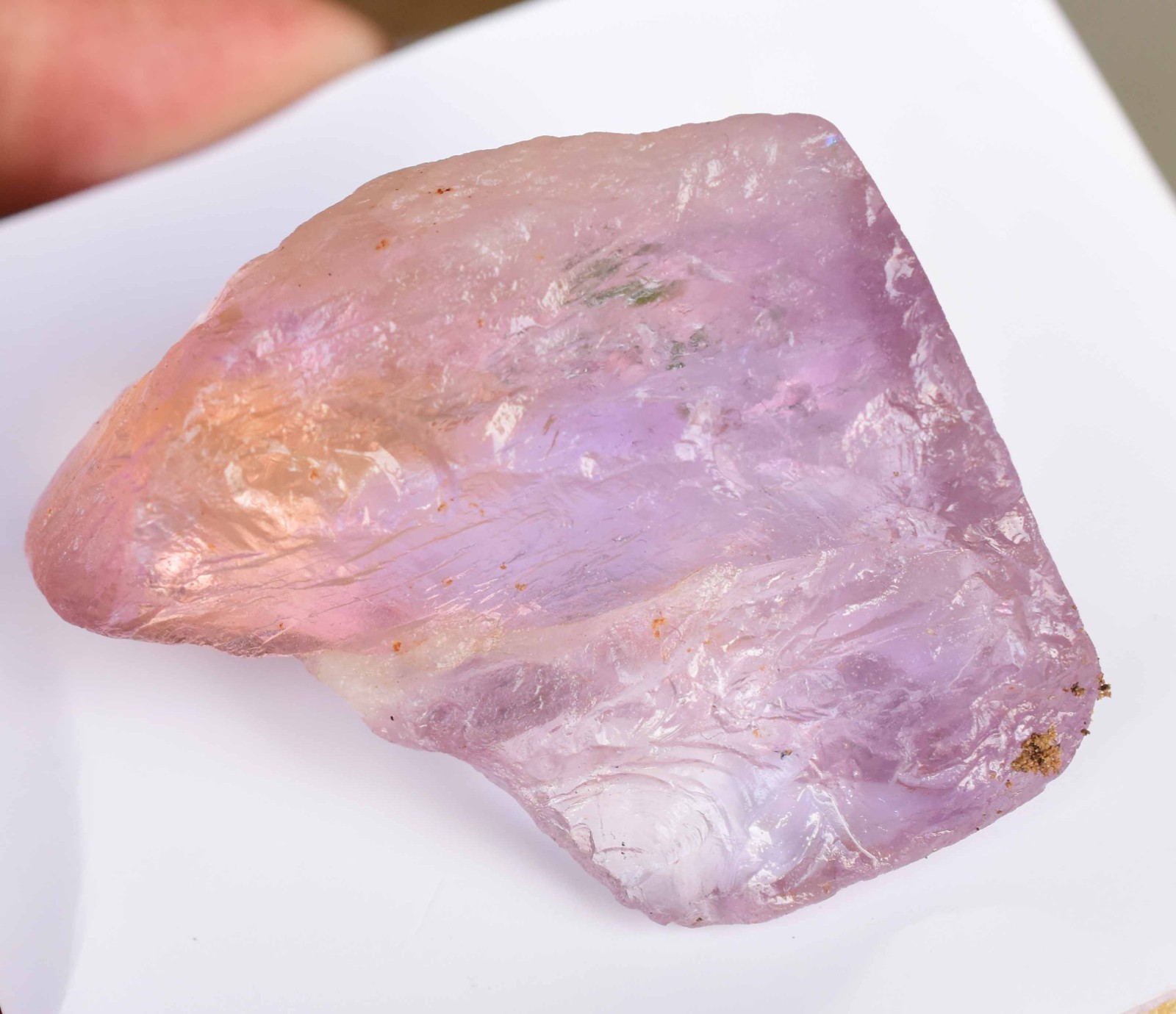 100% Natural Bi-Color Bolivian Ametrine 134.5 CT AGL Certified Facet Grade Rough