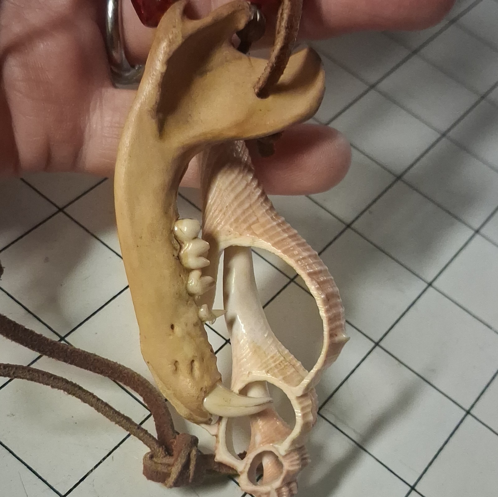 Leather Cord Beaded Necklace Shell Bone Charm Pendant Adjustable Bolo