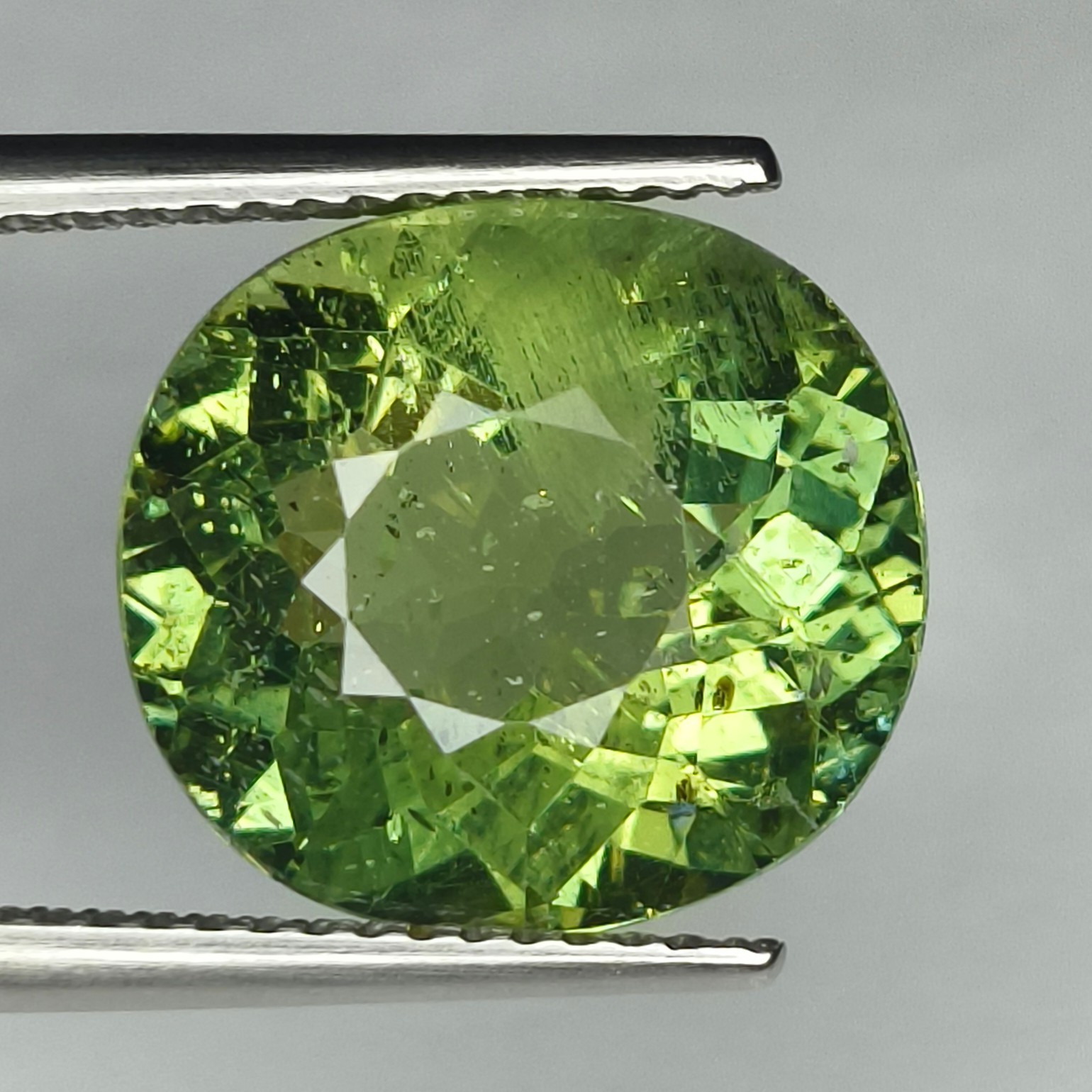 100% NATURAL 7.83Cts BEAUTIFUL SUPER GREEN APATITE