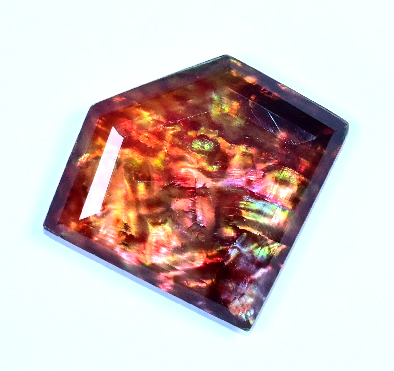 46.35 Ct Natural Opal Like Ammolite Organic Doublet Certified Stunning Gemstone