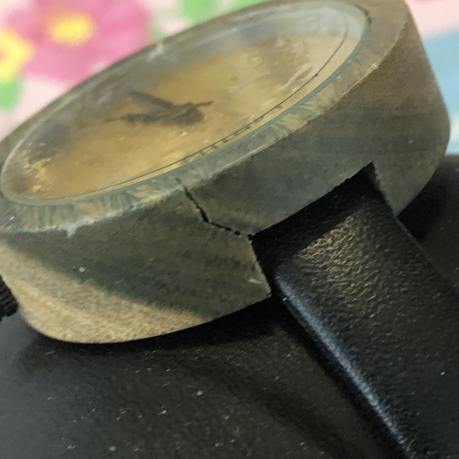 Earth Wood Watch NWOT