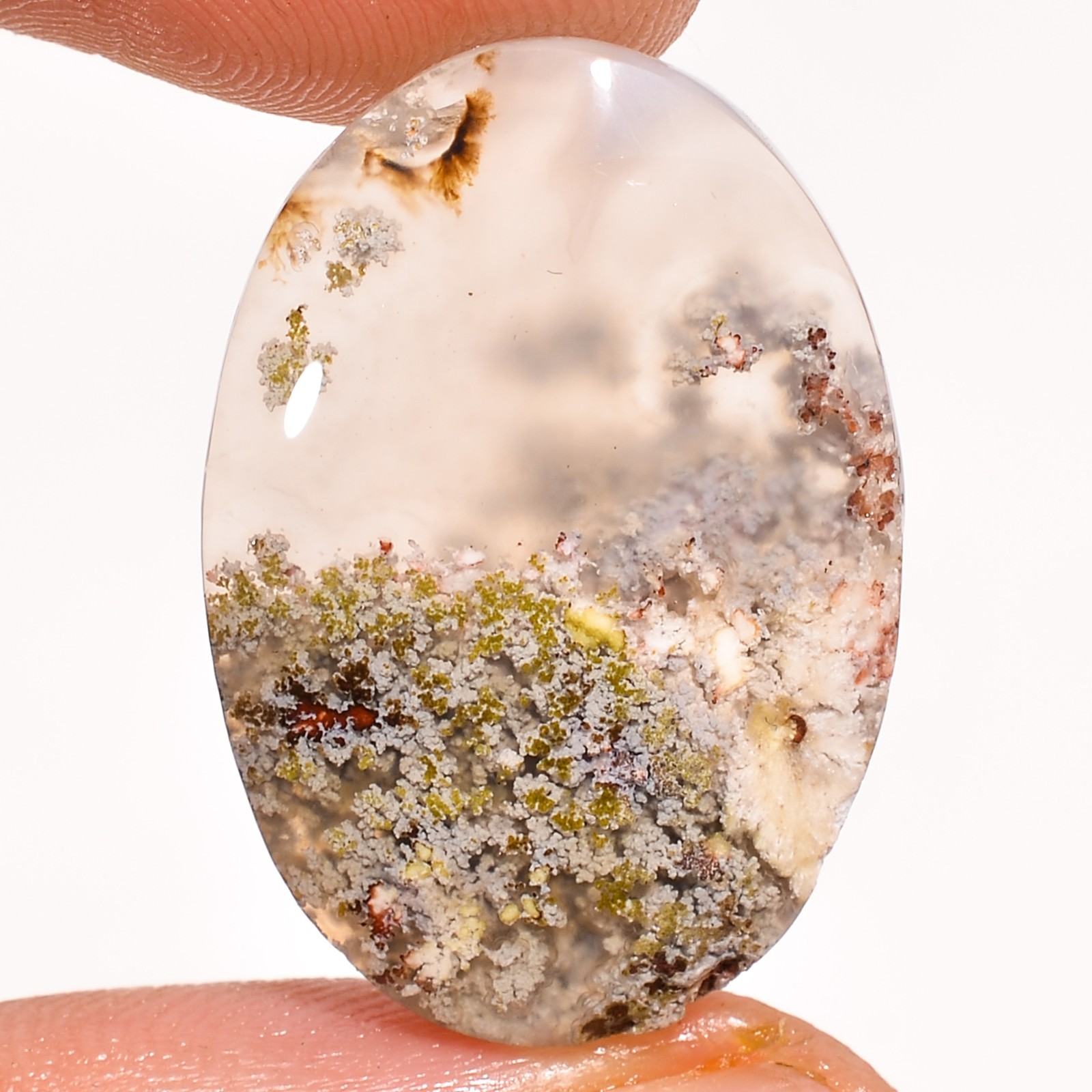 14.70Ct Natural Excellent Indonesian Moos Agate Gemstone Oval Cabochon 16X24X5mm