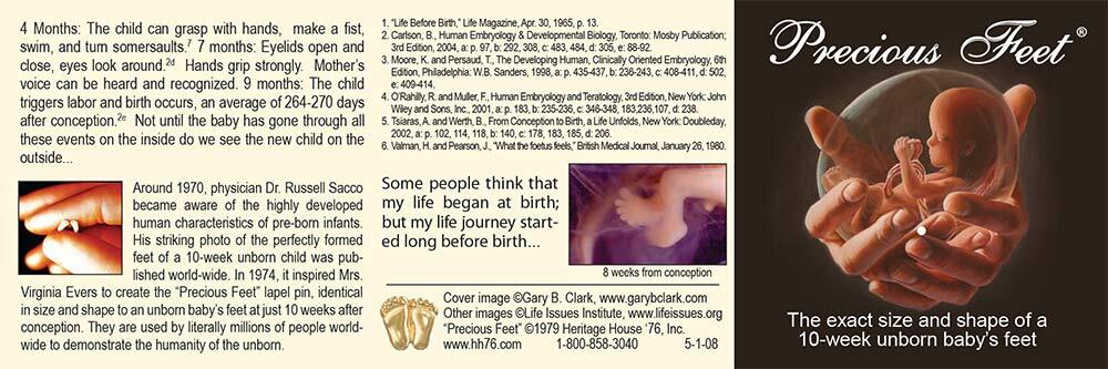 Precious Feet, 14k Gold Plated Jewelry, Lapel Pin