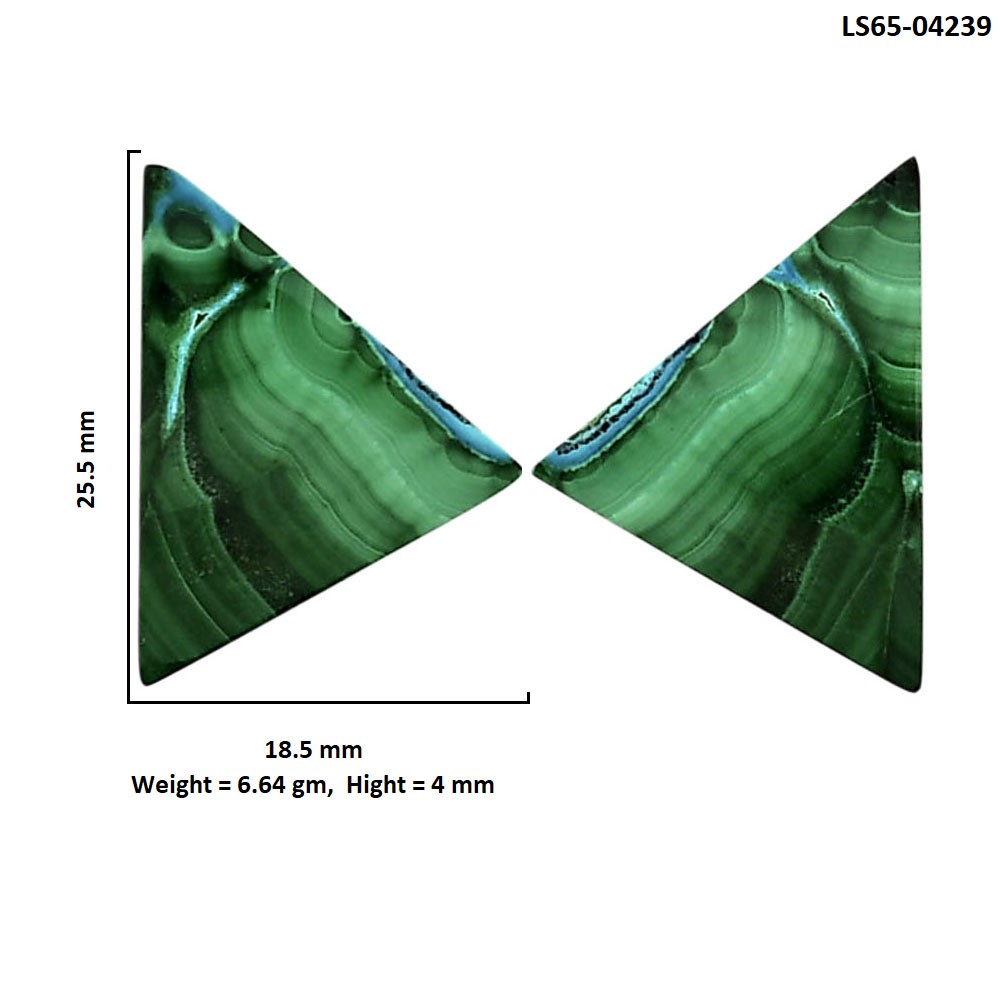 Natural Malachite Eye Pair 18.5×25.5×4 mm Fancy Polished Gemstone LS65-04239