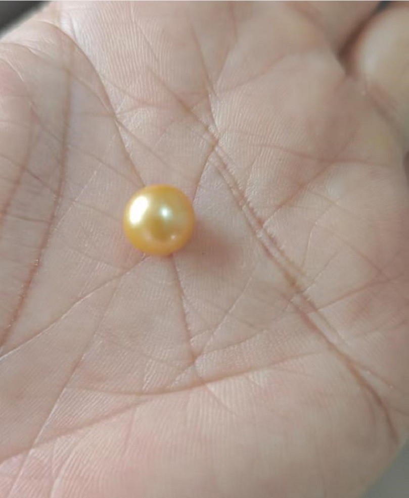 Limited time promotion AAA8-9mm natural South Sea gold/granular pearl, non porou