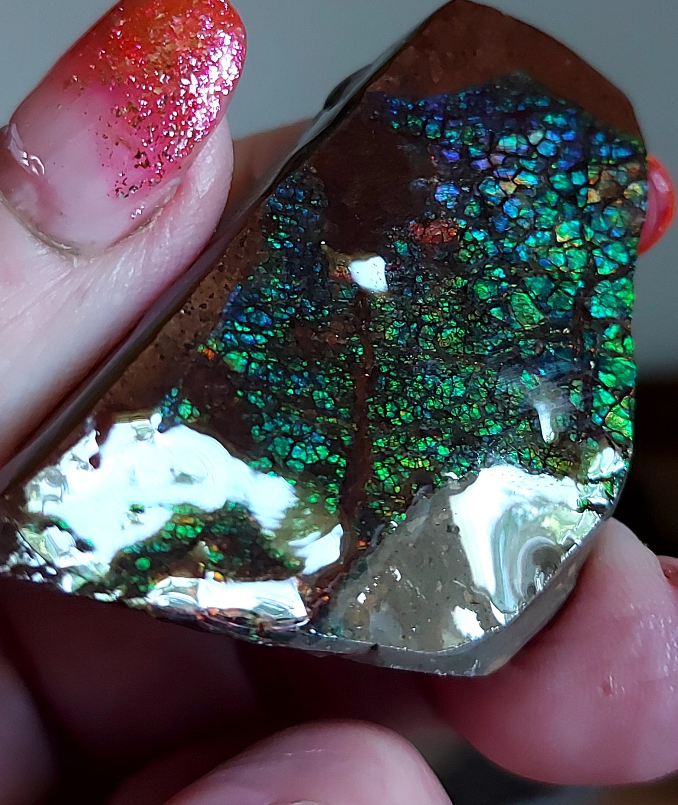 Ammolite Ammonite tabletop Display Piece 53.5x33x22.4mm 5237