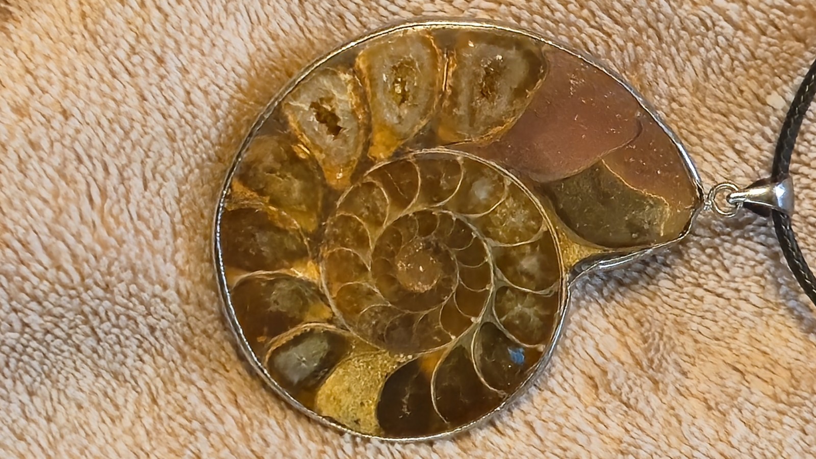 Genuine Ammonite Fossil Pendant Sterling Silver Sliced Polished Crystal Agate
