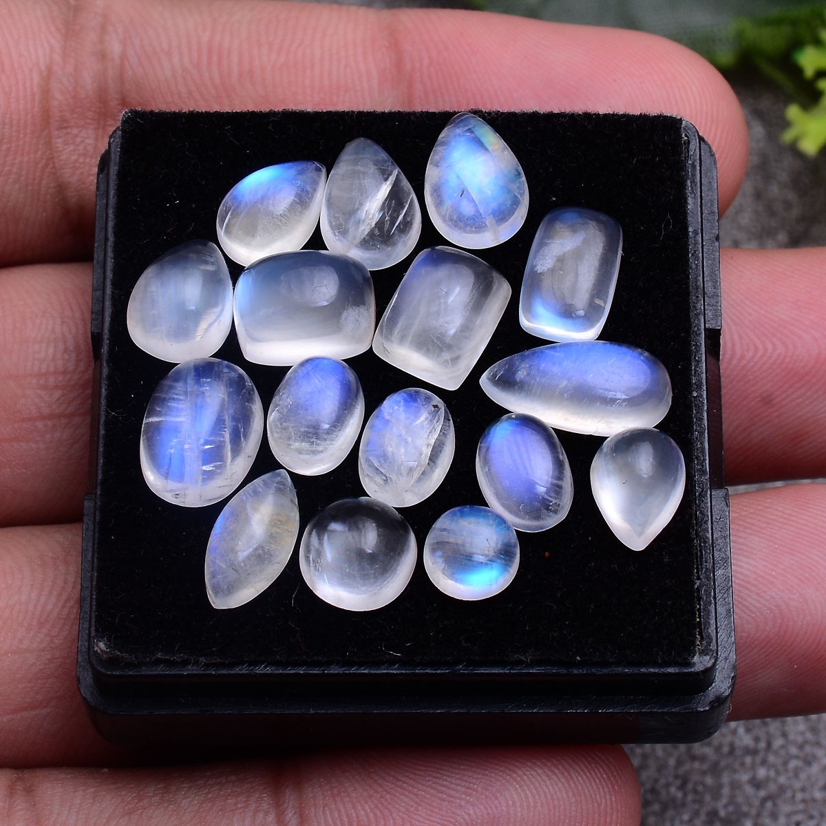 16 Pcs Natural Moonstone Blue Shine 6mm-12mm Smooth Mix Cabochon Loose Gemstones