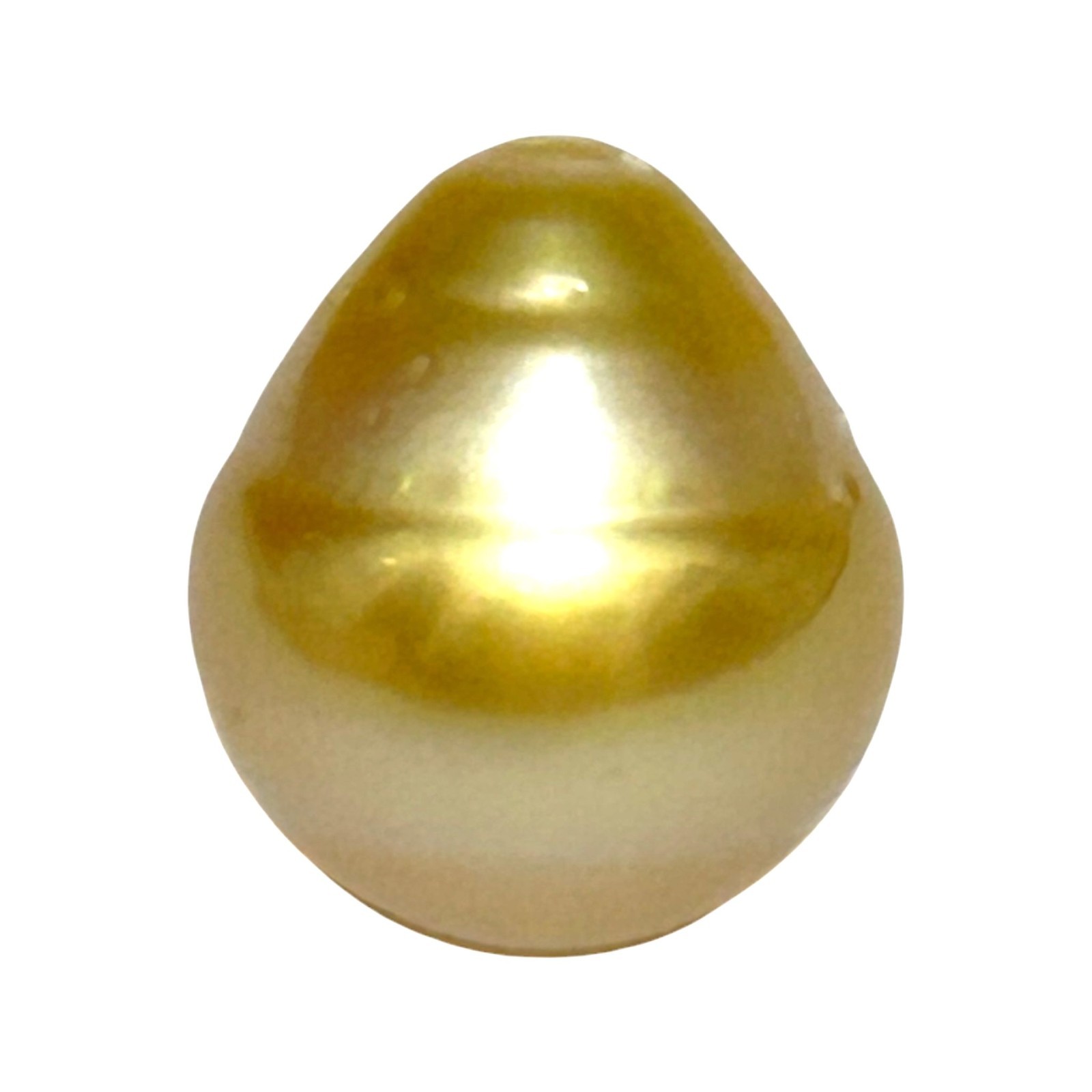 Magnificent Oval 14.6 x 16.8mm 23.2 Carats Lustrous Golden Philippine Sea Pearl