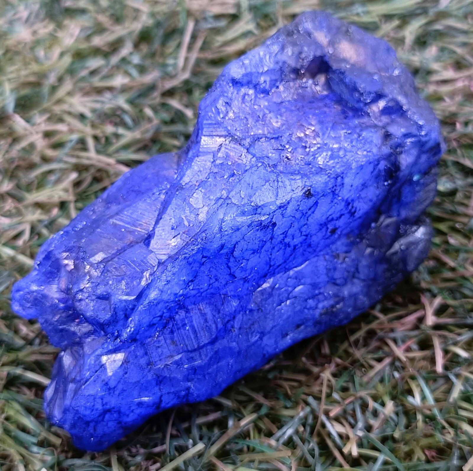 720 Ct Natural Blue Sapphire EGL Certified Uncut Rough Chunk Loose Gemstone 25S