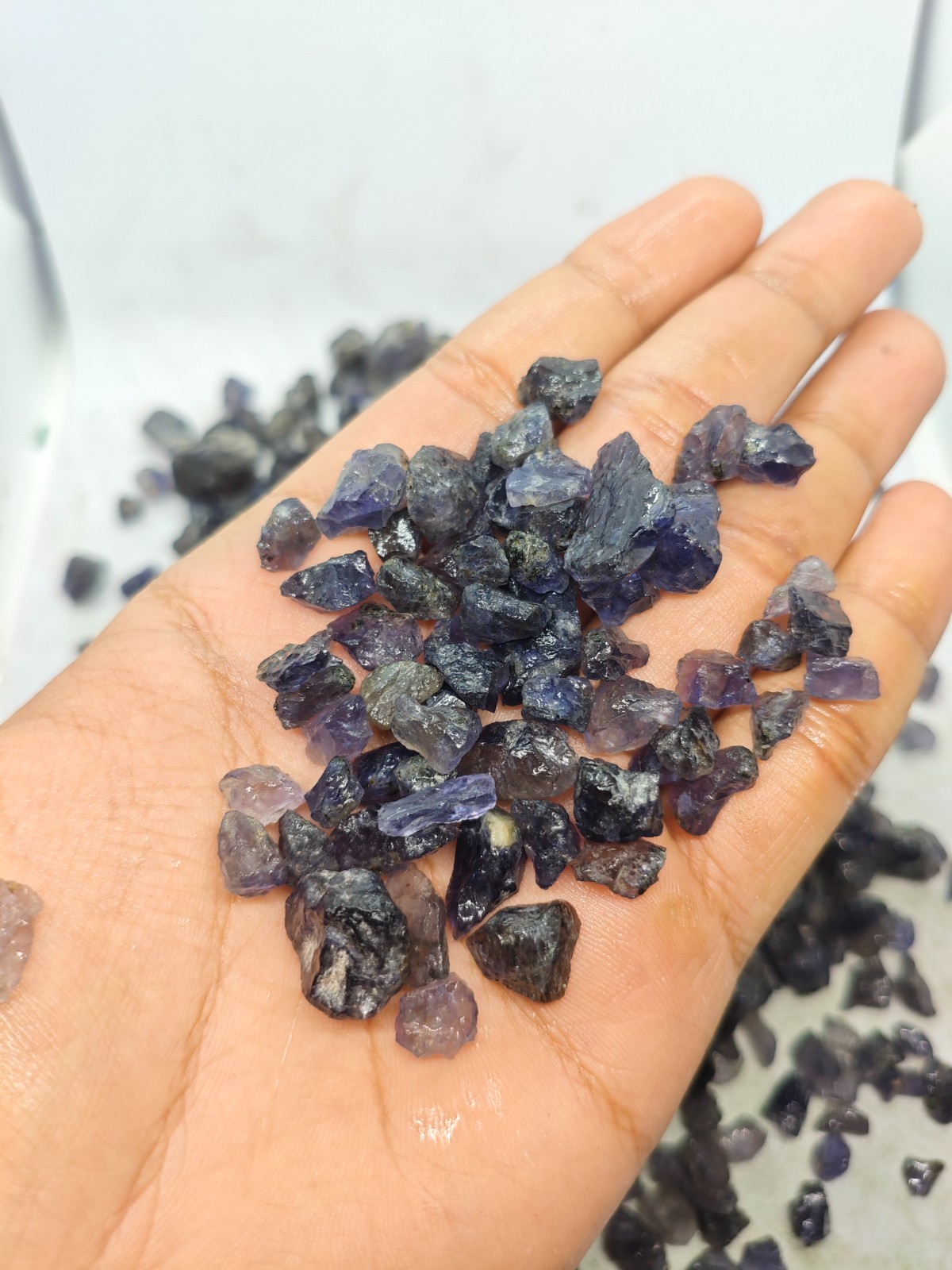 Natural Iolite Raw Rough Gemstones 5–20mm Sparkling Violet Blue