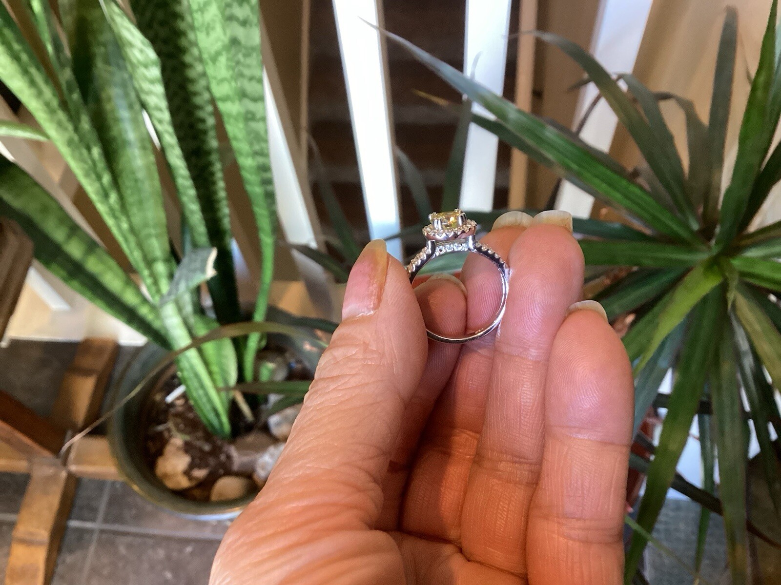 1ct Fancy Vivid Yellow Moissanite Halo Set Engagement Ring