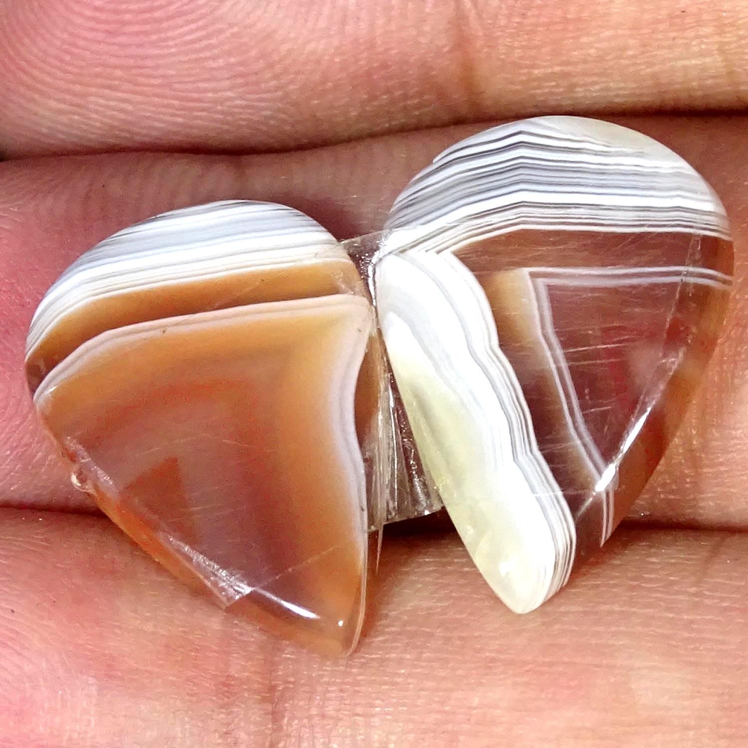 20.50Cts Natural Nice Botswana Pair Agate Pear Cabochon Gemstone 15X20X4MM