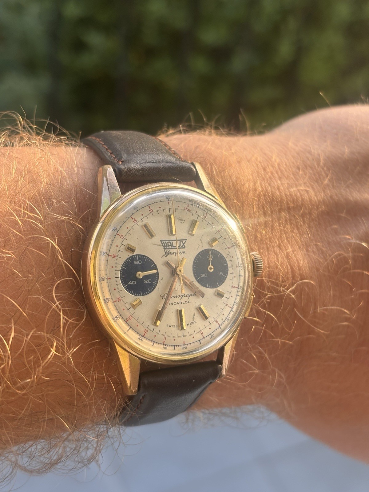 Fully Serviced! 1960s Vintage Valjoux 7733 Chronograph, Walux Geneve, Panda