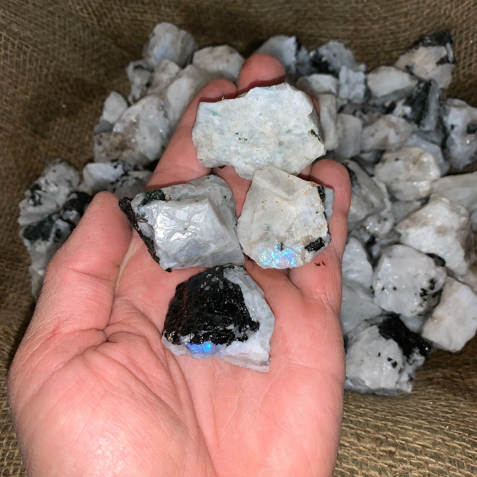 1000 Carat Lots of Natural Rainbow Moonstone Rough + a Nice FREE faceted Gems
