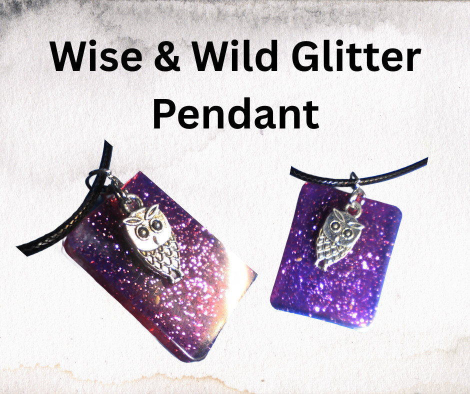 Handmade Owl Resin Pendant Necklace Glitter Silver Charm Black Cord 18″ Gift