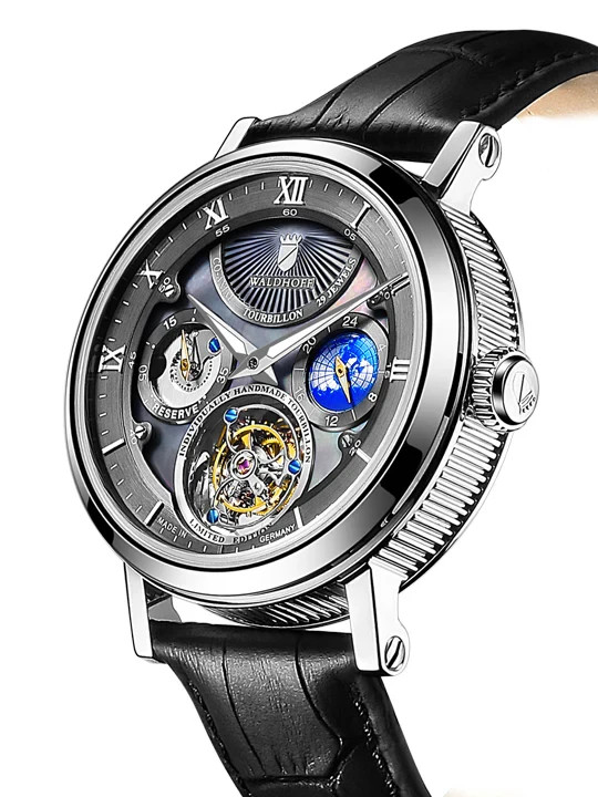 Waldhoff Co-Axial Tourbillon 29 Jewels Limited Edition