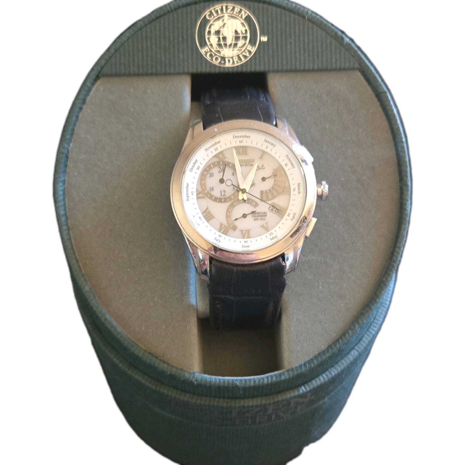 Citizen Eco-Drive S015324HST Excellent w/ Box and Manual