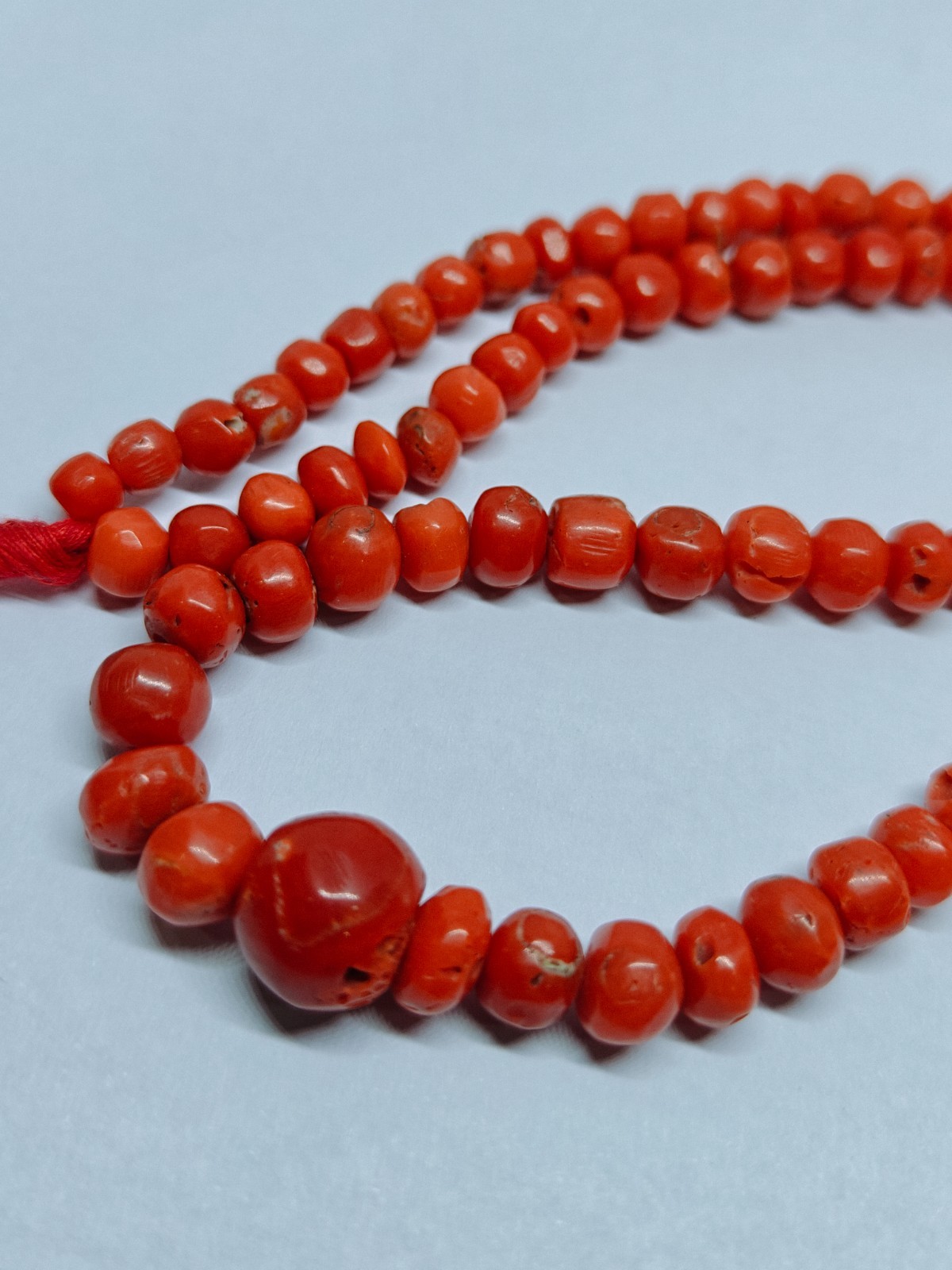 Italian Red Coral Rondelle Beads Loose Mediterranean Sea Gemstone 16 In Strand
