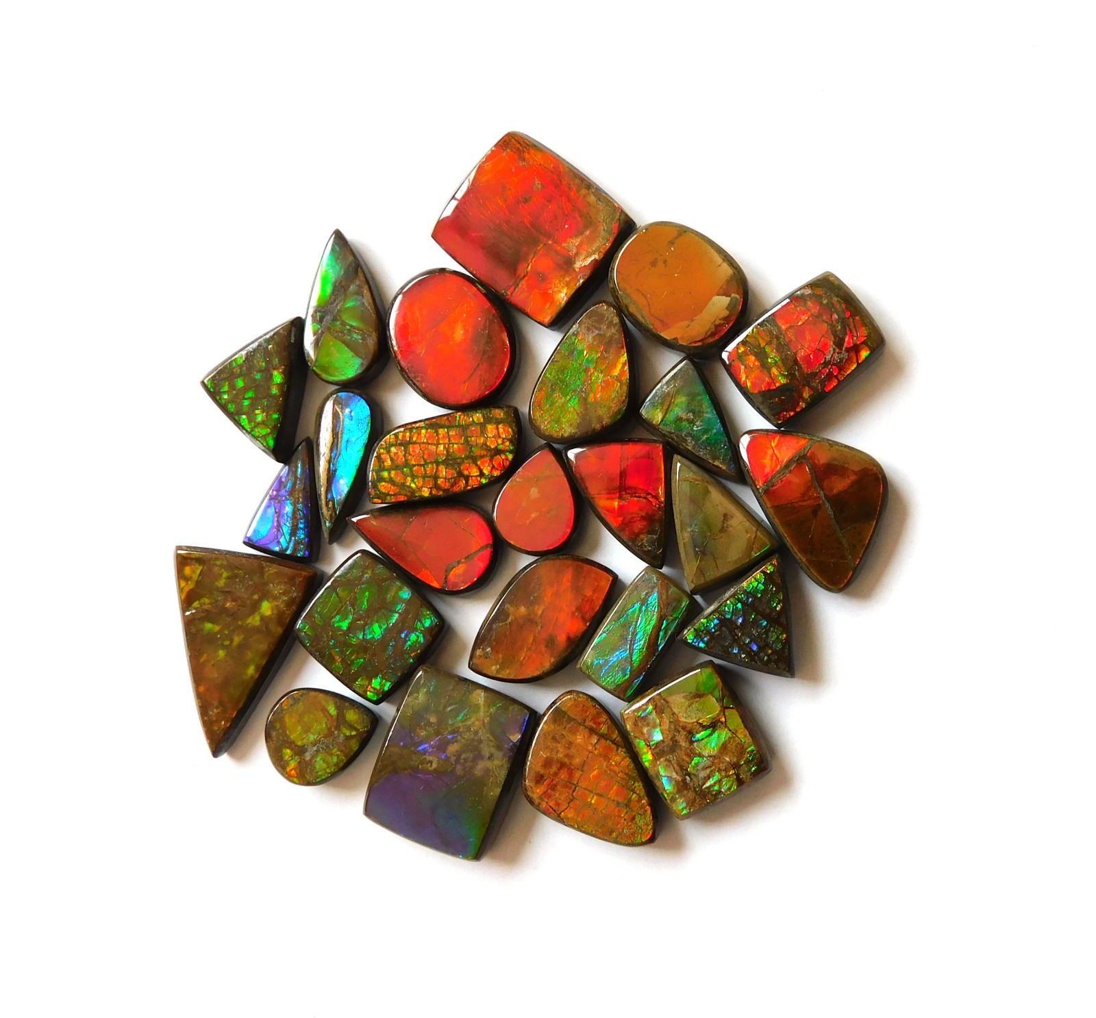 121.65 Cts Natural Ammolite 25 Pcs Lot Loose Cabochon Gemstone CN07