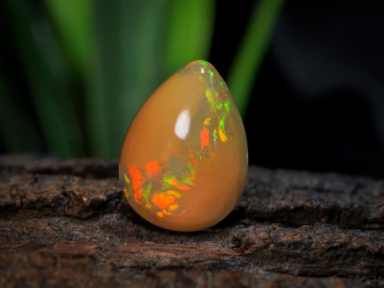 5.43 Carat Ethiopian Fire Opal Cabochon 15x11x6 MM Pear Shape Welo Fire Opal