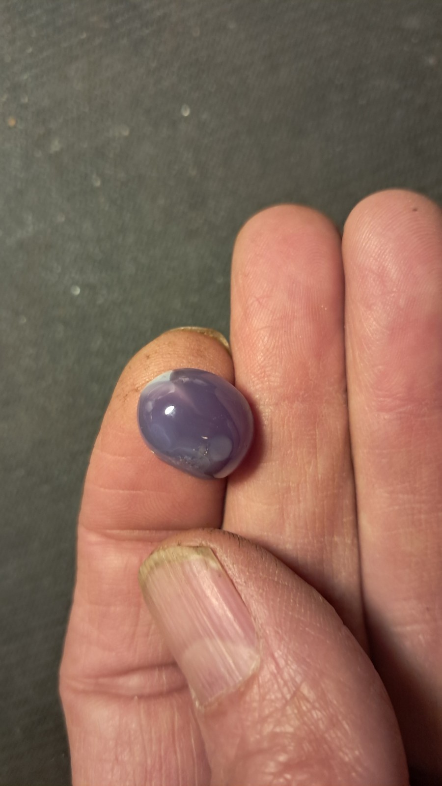 Holly Blue Agate Cabochon 15×12.2mm Oval