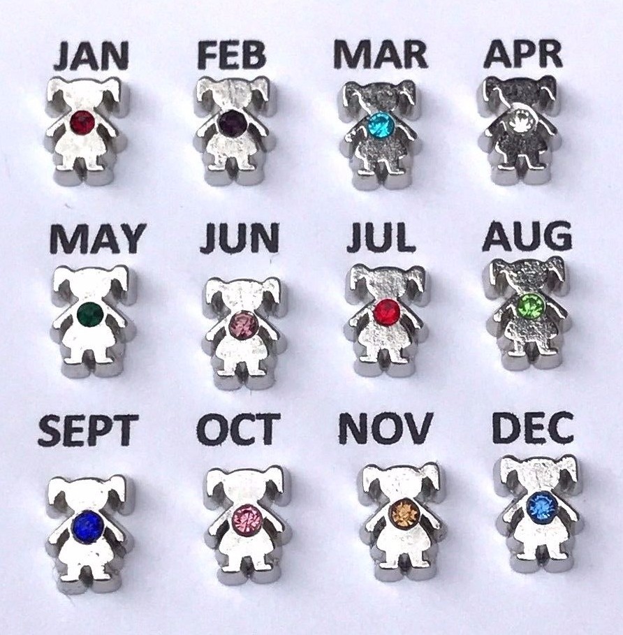 Floating Charm BIRTHSTONE Boy Girl Son Daughter fit Glass Locket