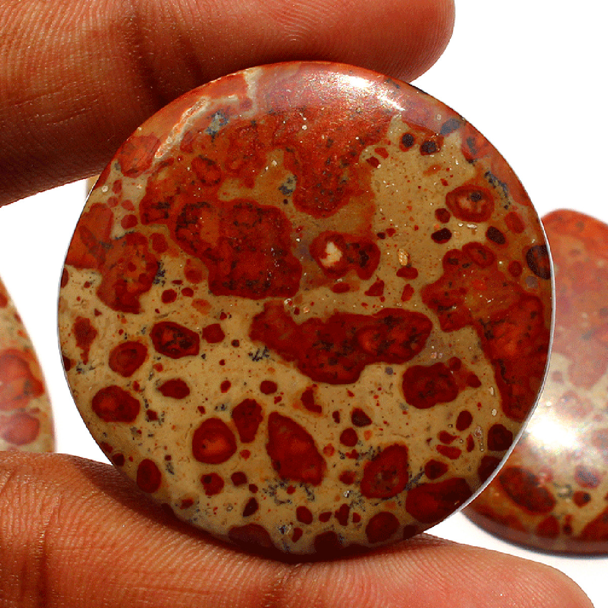 4 Pcs Natural Asteroid Jasper Untreated 41.7mm-48mm Cabochon Loose Gemstones Lot