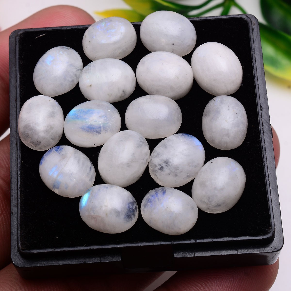 16 Pcs Natural Blue Shine Moonstone 11mmx9mm Oval Cabochon Untreated Gemstones