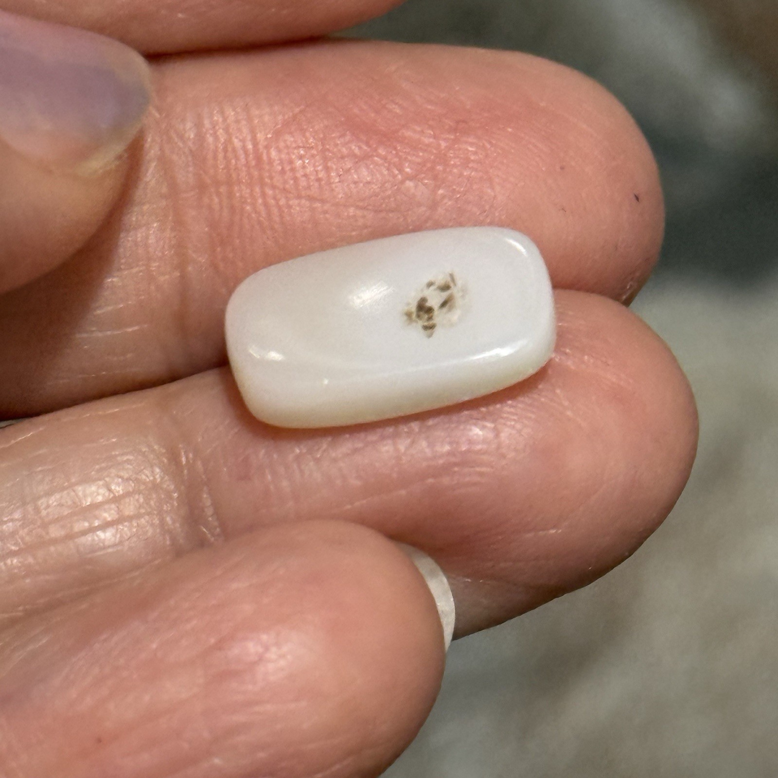 4.1ct 15.1×9.3×3.3mm Solid White Coober Pedy Stardust Australian Opal Cabochon