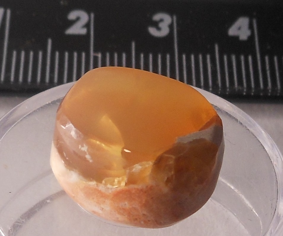 11ct Orange Mexican Fire Opal Cab 15.8mm x 14.2mm x 7.4mm