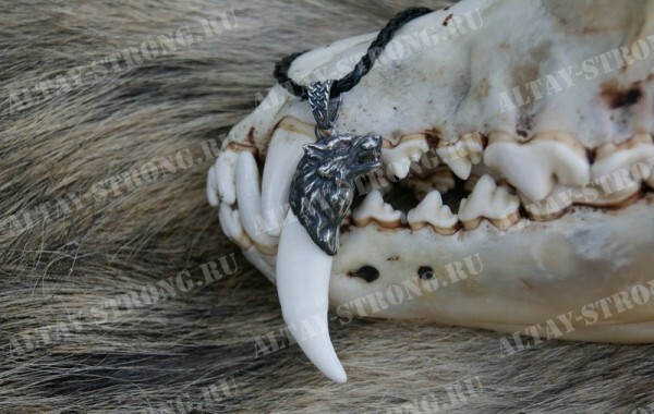 Wolf teeth jewelry Animal Teeth Wolf necklace Wolf head Tooth necklace Wolf