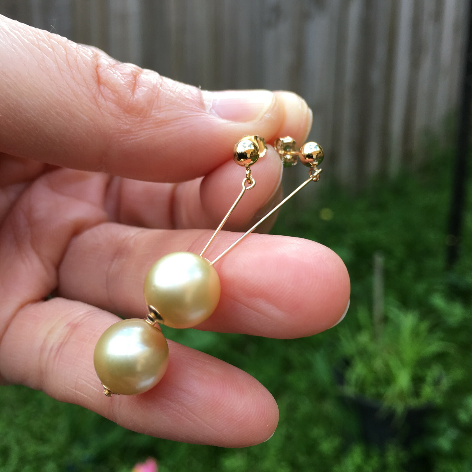 9.5-10mm natural high luster Australia gold seawater Pearl 14KGF Earring 40mm #3