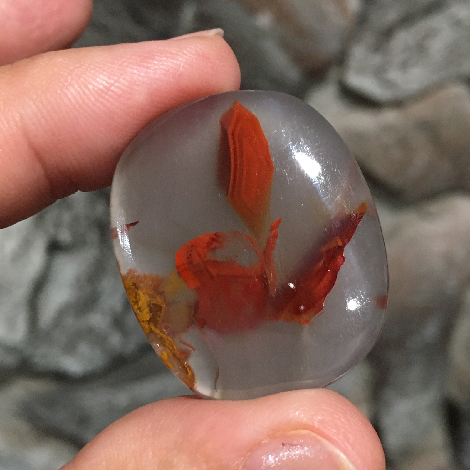 33.45x28x5.4mm Fine Kazakhstan Agate Cabochon Red Flower Collector’s Stone