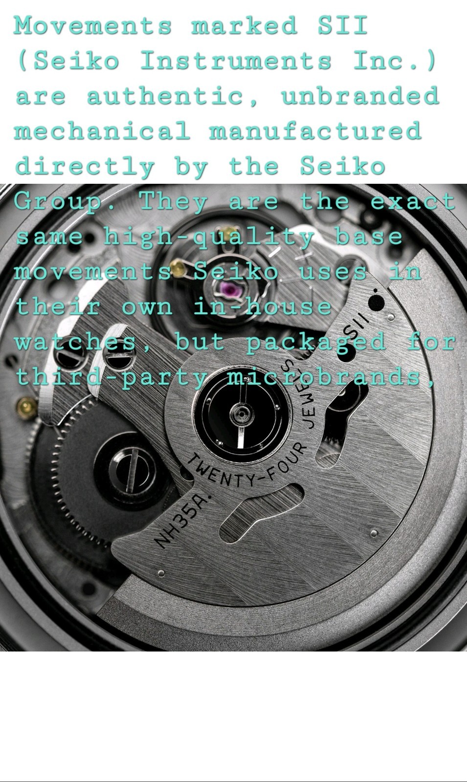 Mod Automatic Divers Watch 44mm SII NH35 With All the Titanium Improvements