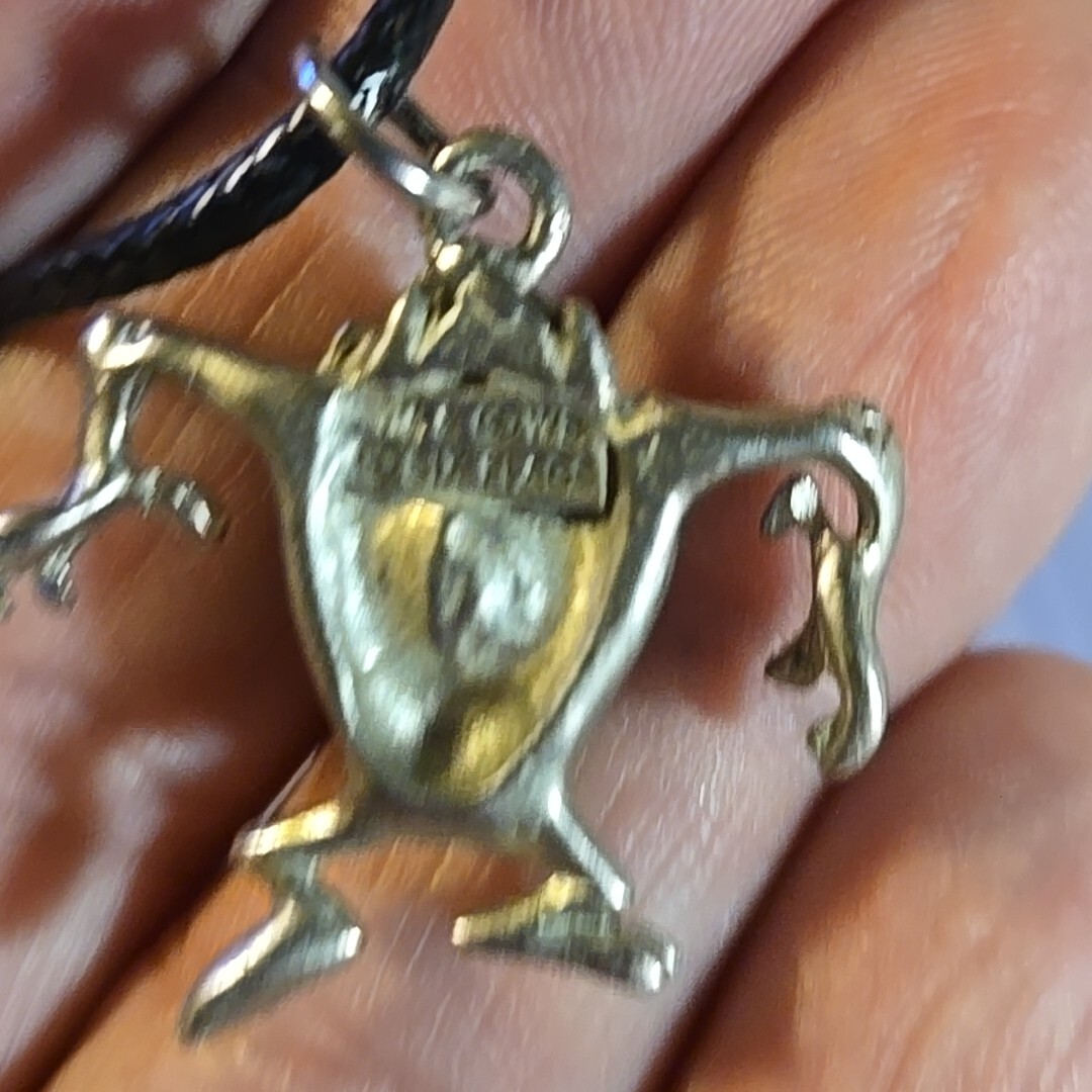 TAZ SIX FLAGS Vintage Pewter Pendant Charm / 26+” Adjustable Necklace