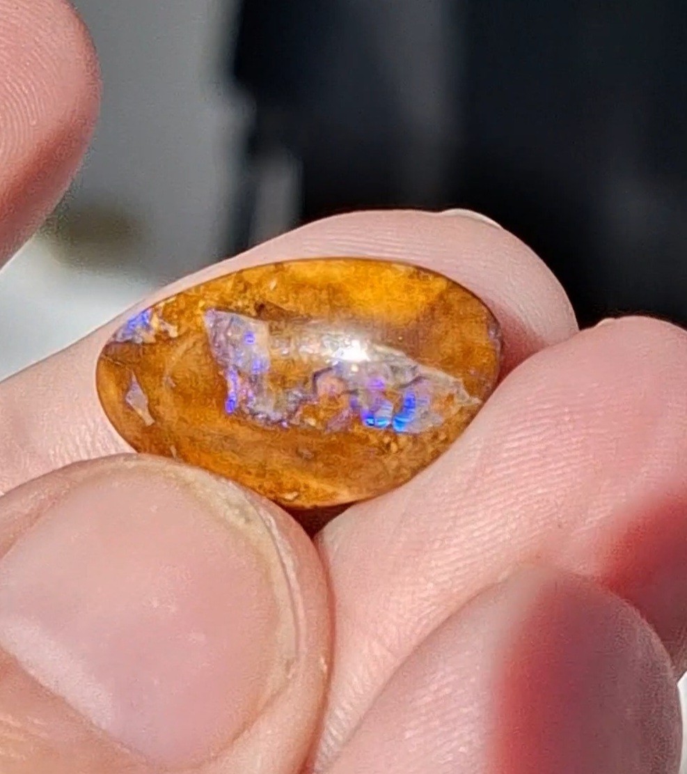 12.5ct Wood replacement Qld boulder opal. Vibrant iridescent blue & purple flash