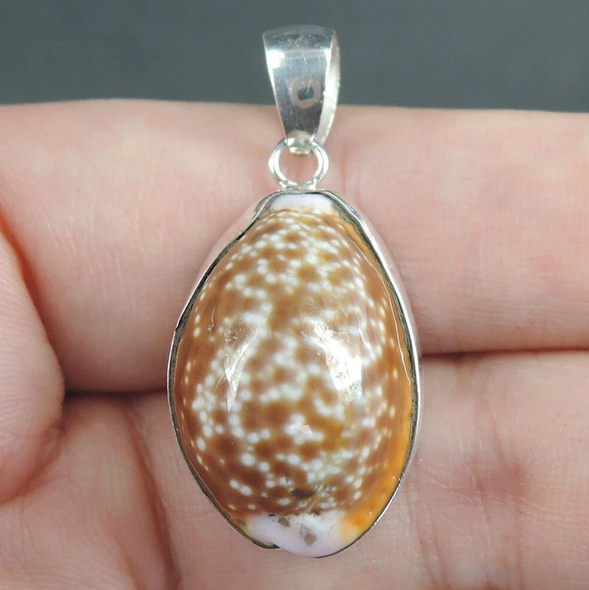 925 Sterling Silver Small Spotted Brown Cowrie Shelll Pendant Jewelry, CSP-45