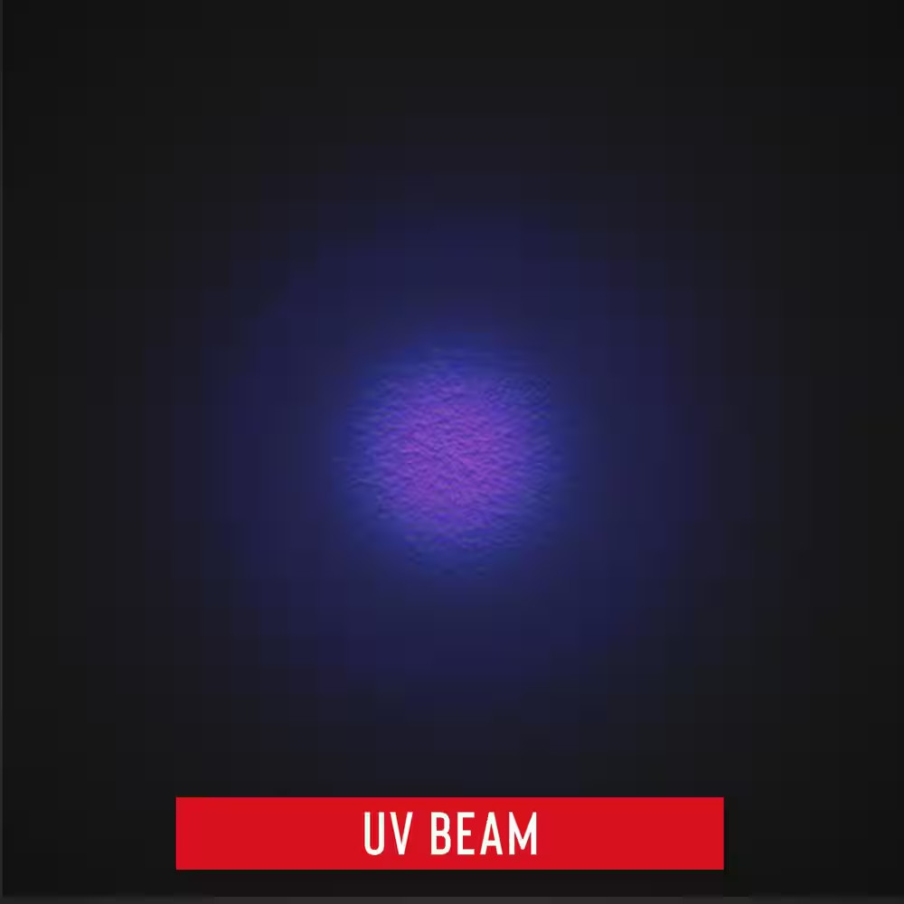 PX100 Scorpion Detecting UV Pocket Light