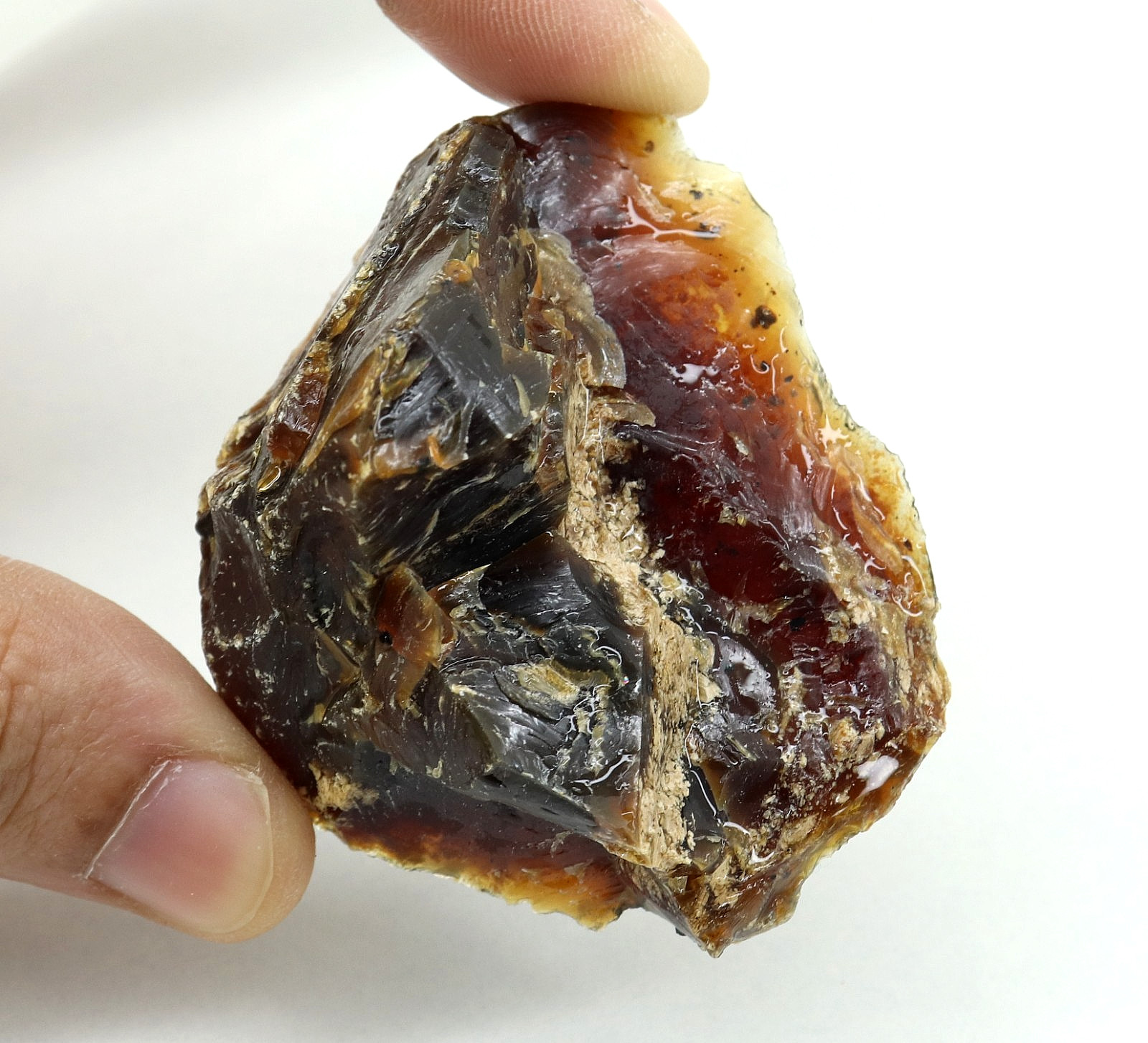 Natural Honey Baltic Amber Untreated Specimen Certified Rough Gemstone 122 Ct.