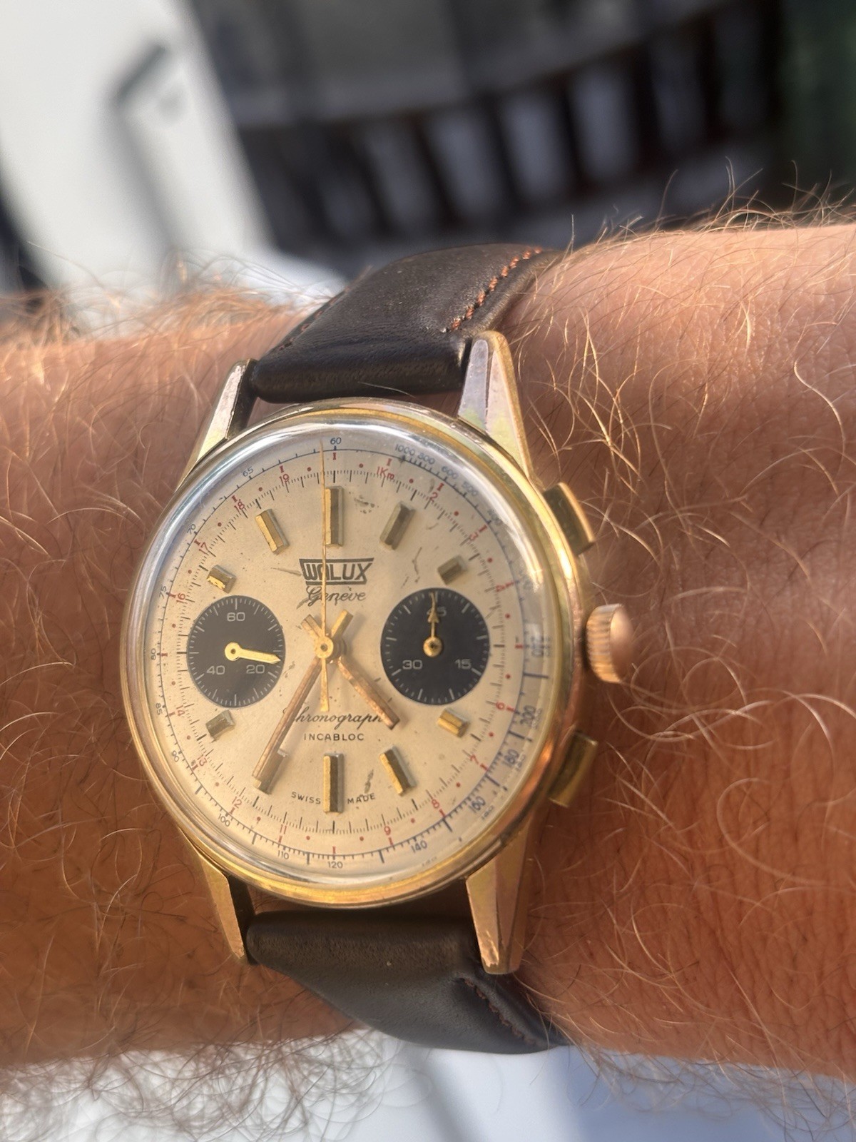 Fully Serviced! 1960s Vintage Valjoux 7733 Chronograph, Walux Geneve, Panda