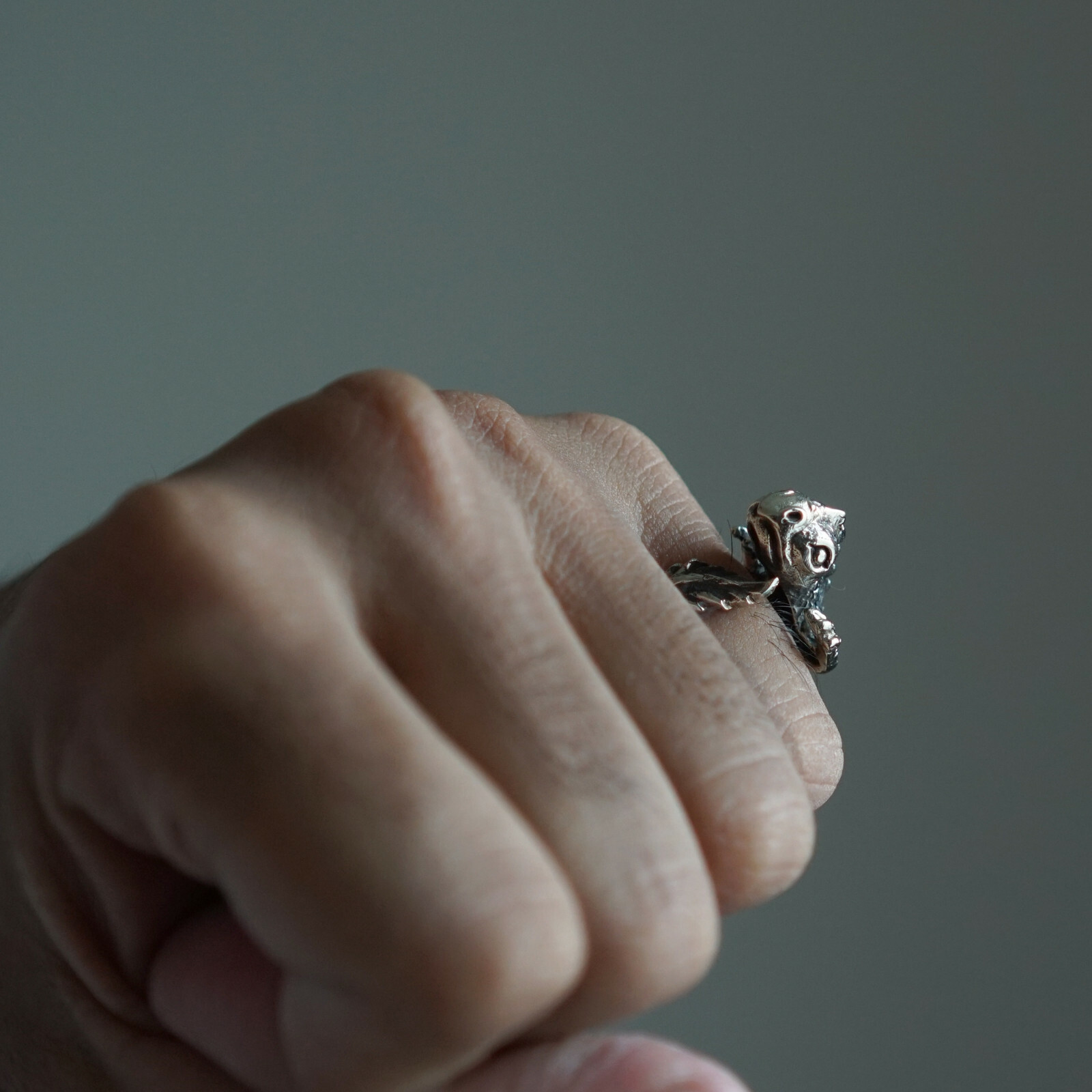Gecko Chameleon sterling silver ring animal woman Jewelry Boho lizard bugbear