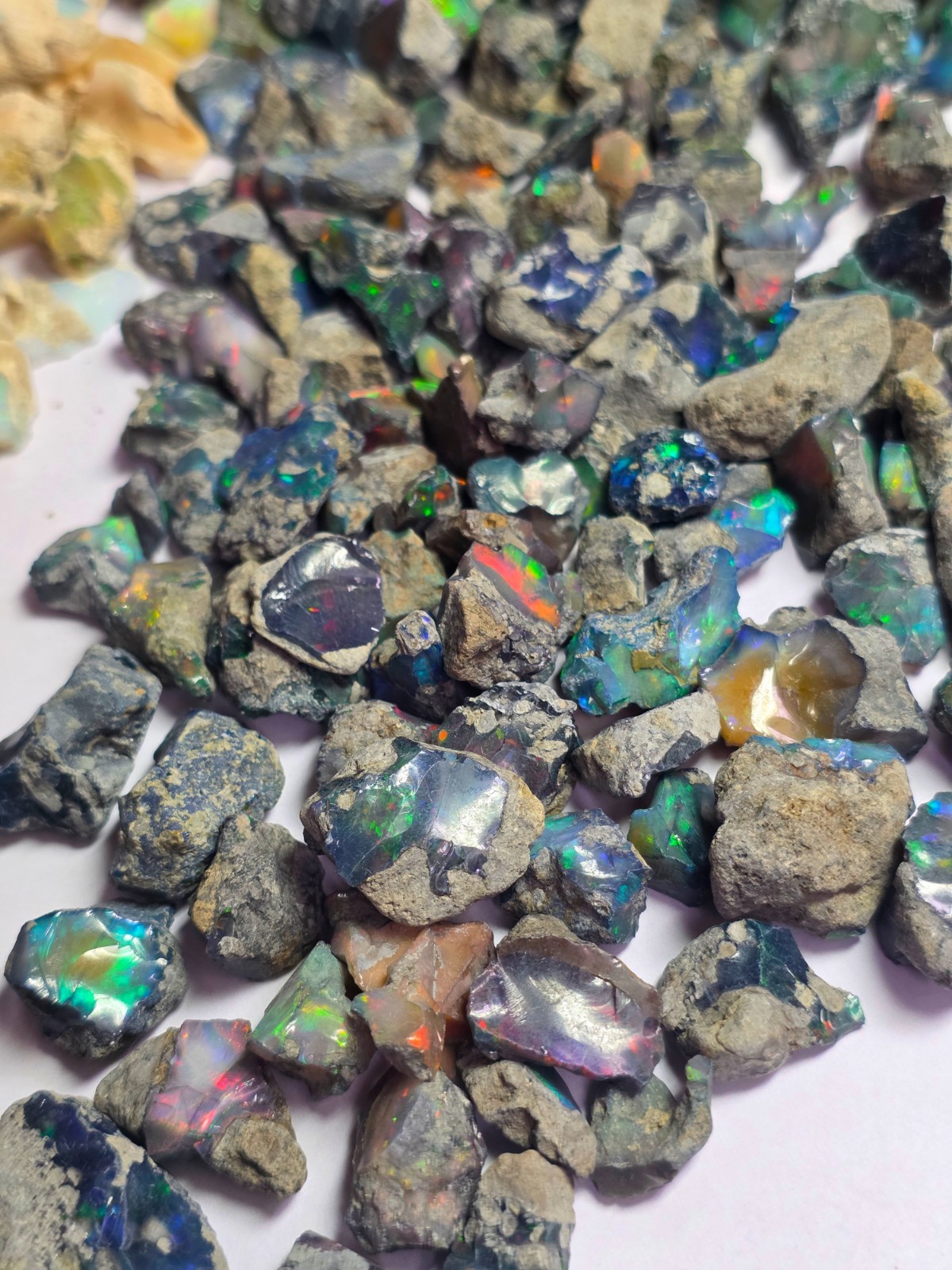 Opal Rough 2500 Carat Black Dyed big size 10 carat plus size