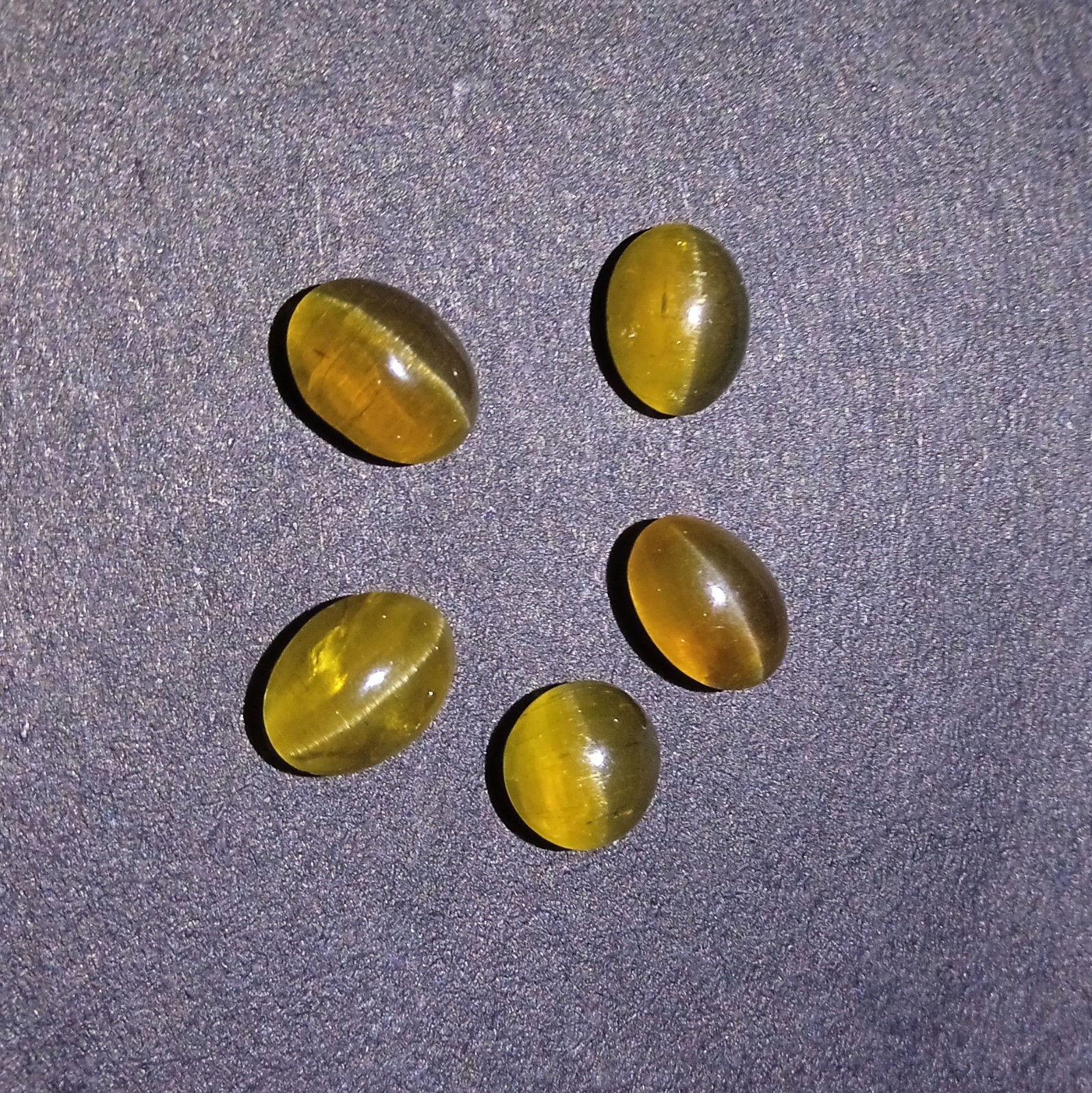 9.2 Ct Apatite Cat’s Eye Cabochon Gemstone 5 Piece Lot: Green Brown Oval/Round