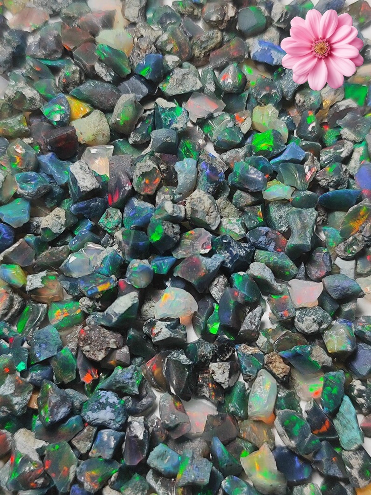 Cut Grade Opal Rough Lot AAA Grade 10 Pieces Large Size Ethiopian Welo Opal Raw