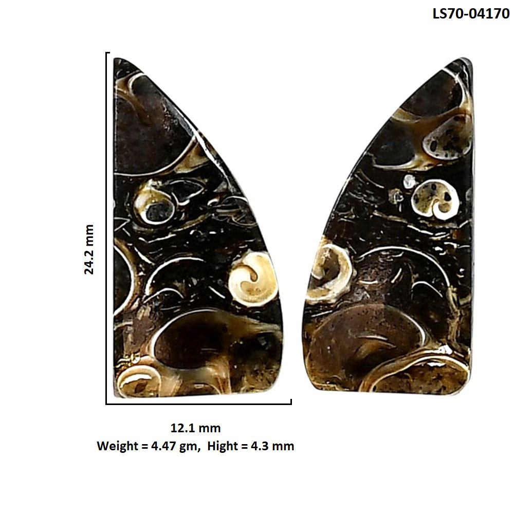 Natural Turtella Jasper Pair 12.1×24.2×4.3 mm Fancy Polished Gemstone LS70-04170