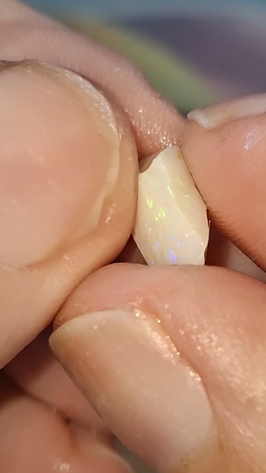 53ct Coober Pedy Opal rough. multicoloured multisized peices, good cutters